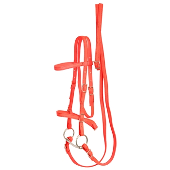 ****PHOTO SAMPLE*** $20 Orange Nylon English Bridle & Matching Reins - Horse Size