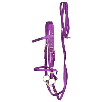 ****PHOTO SAMPLE*** $20 Purple Nylon English Bridle & Matching Reins - Horse Size