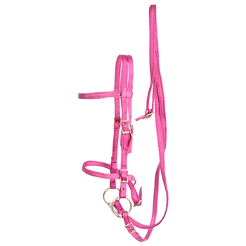 ****PHOTO SAMPLE*** $20 Raspberry Pink Nylon English Bridle & Matching Reins - Horse Size
