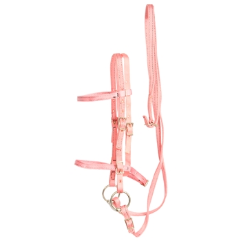 ****PHOTO SAMPLE*** $20 Soft Pink Nylon English Bridle & Matching Reins - Horse Size