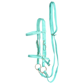 ****PHOTO SAMPLE*** $20 Turquoise Nylon English Bridle & Matching Reins - Horse Size