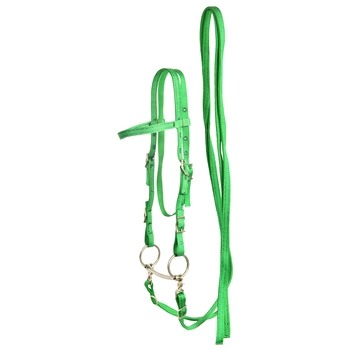 ****PHOTO SAMPLE*** $15 Green Nylon Western Bridle and Reins - Horse Size