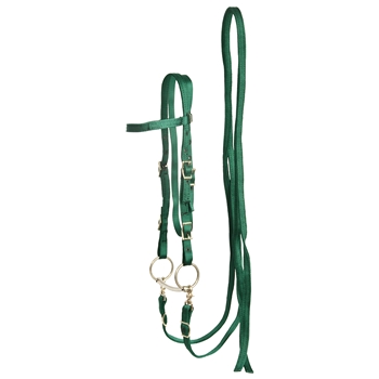 ****PHOTO SAMPLE*** $15 Hunter Green Nylon Western Bridle and Reins - Horse Size