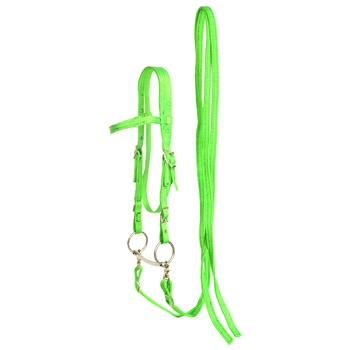 ****PHOTO SAMPLE*** $15 Lime Green Nylon Western Bridle and Reins - Horse Size