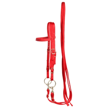 ****PHOTO SAMPLE*** $15 Red Nylon Western Bridle and Reins - Horse Size