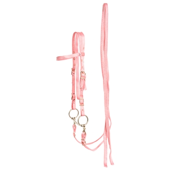 ****PHOTO SAMPLE*** $15 Soft Pink Nylon Western Bridle and Reins - Horse Size