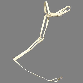 ****PHOTO SAMPLE*** $25 White Beta Biothane with Green Thread English Breast Collar
