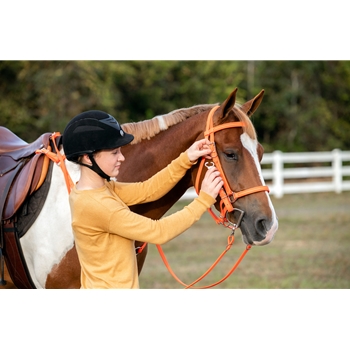 Traditional HALTER BRIDLE with BIT HANGERS made from BETA BIOTHANE (Solid Colored)