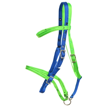 ****PHOTO SAMPLE*** $10 Green and Blue Nylon English Headstall - Horse Size