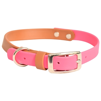 Mix N Match Dog Collar