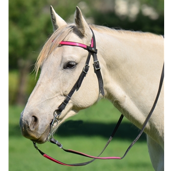 ENGLISH BRIDLE made from Beta Biothane (Solid Colored)