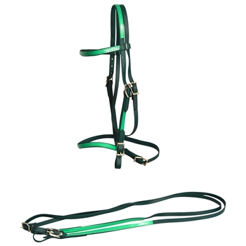 ****PHOTO SAMPLE*** $20 Hunter Green Beta Biothane with Green Overlay English Bridle & Reins - Horse Size