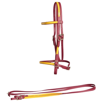 ****PHOTO SAMPLE*** $20 Wine/Maroon Beta Biothane with Sunflower Yellow English Bridle & Matching Reins - Horse Size