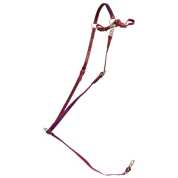 ****PHOTO SAMPLE*** $15 Wine/Maroon Beta Biothane with Purple Overlay English Breast Collar - Horse Size