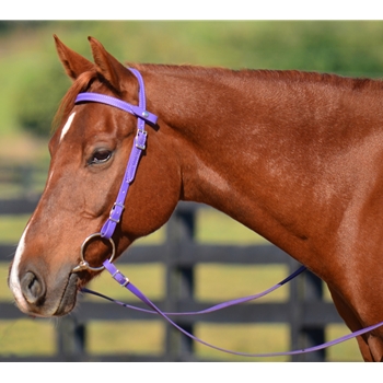 ENGLISH BRIDLE made from Beta Biothane (Solid Colored)