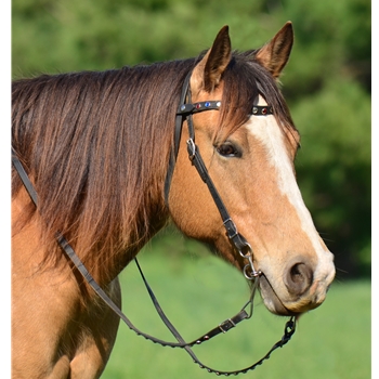 Snap On Browband WESTERN BRIDLE made from BETA BIOTHANE (With BLING)