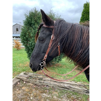 Snap On Browband WESTERN BRIDLE made from LEATHER