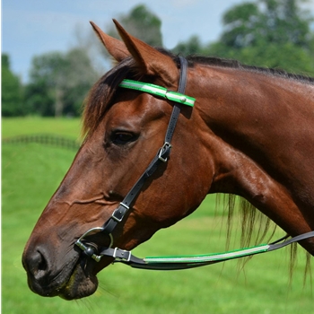 Snap On Browband WESTERN BRIDLE made with REFLECTIVE DAY GLO Biothane 