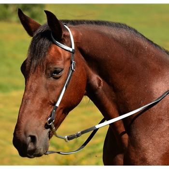 One or Two Split Ear Western Bridle Made From Beta Biothane| Two Horse Tack