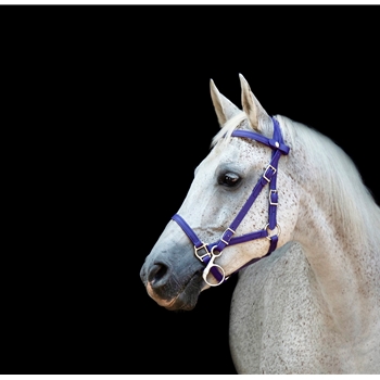 Quick Change HALTER BRIDLE with Snap on Browband made from BETA BIOTHANE (Solid Colored)