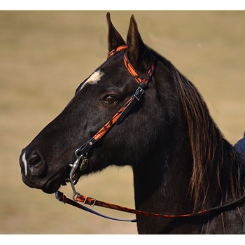 WESTERN BRIDLE (One Ear or Two Ear Split Ear Browband) made with CAMOUFLAGE Beta Biothane