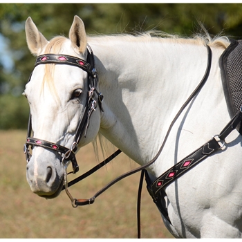 ENGLISH BRIDLE with CAVESSON made from LEATHER with Beta Biothane Diamond Cutouts
