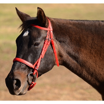 THE ONLY RACING BRIDLE YOU NEED made from BETA BIOTHANE (Solid Colored)