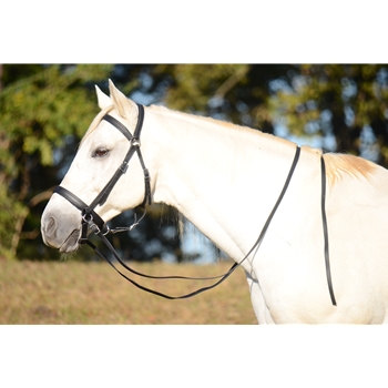 Light N Easy Bitless Bridle made from BETA BIOTHANE (Solid Colored)
