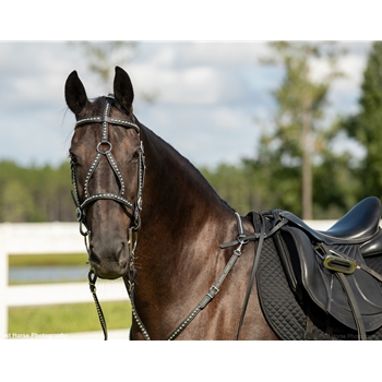 MEDIEVAL BAROQUE WAR or PARADE BRIDLE made from BETA BIOTHANE (with Silver Spots/Studs)) 