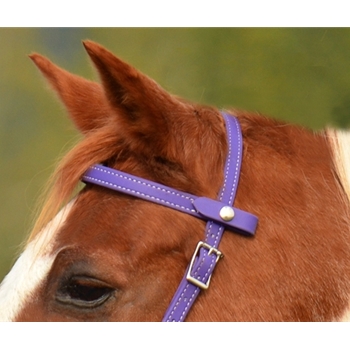 ENGLISH BRIDLE made from Beta Biothane (Solid Colored)