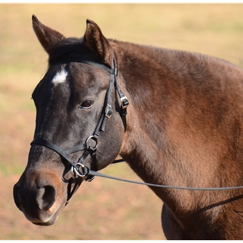 SIDEPULL Bitless Bridle made from NYLON