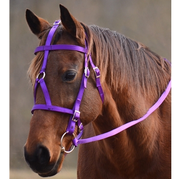 MEDIEVAL BAROQUE WAR or PARADE BRIDLE made from NYLON