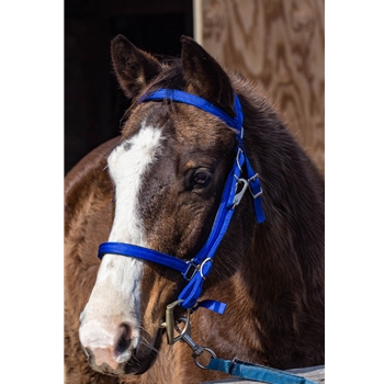 Traditional HALTER BRIDLE with BIT HANGERS made from NYLON