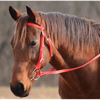 WESTERN BRIDLE made from NYLON