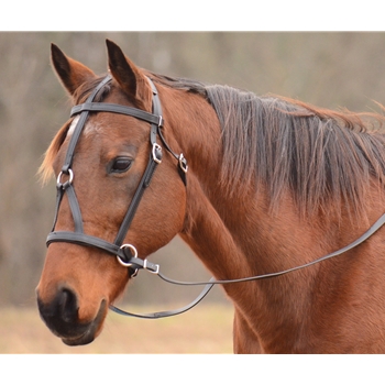 Bitless MEDIEVAL BAROQUE WAR or PARADE BRIDLE made from BETA BIOTHANE (Solid Colored) 