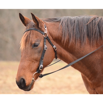 MULE BRIDLE made from NYLON 