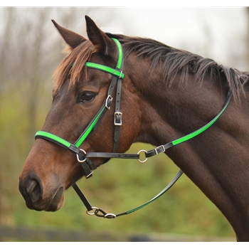 2 in 1 BITLESS BRIDLE made from BETA BIOTHANE (Any 2 COLOR COMBO)
