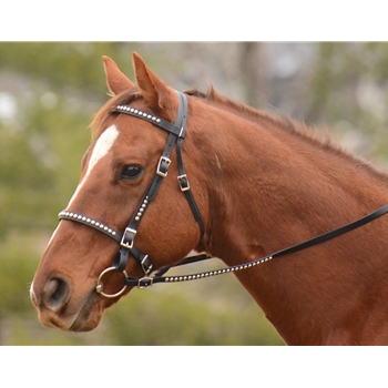 MEDIEVAL BAROQUE WAR or PARADE BRIDLE made from BETA BIOTHANE (with Silver Spots/Studs)) 