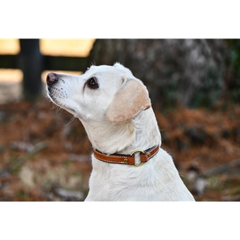 Center Ring Safety DOG COLLAR made from LEATHER