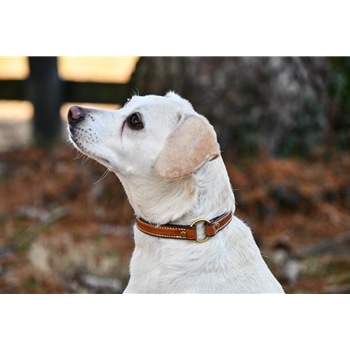 Center Ring Safety DOG COLLAR made from LEATHER
