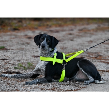 Dog Roading Harness made from beta biothane