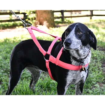 Dog roading harness outlet