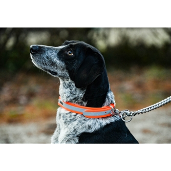 REFLECTIVE Dog Collar