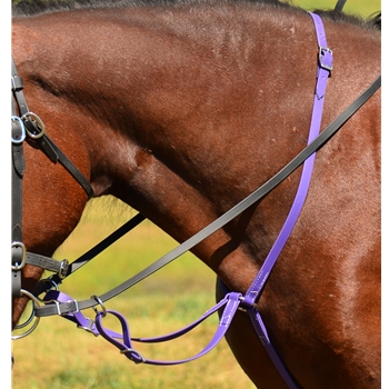 Running MARTINGALE