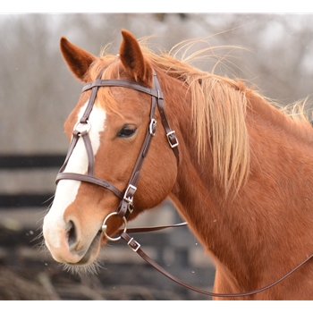 ****BETTER THAN  LEATHER ****War Bridle made from BETA BIOTHANE