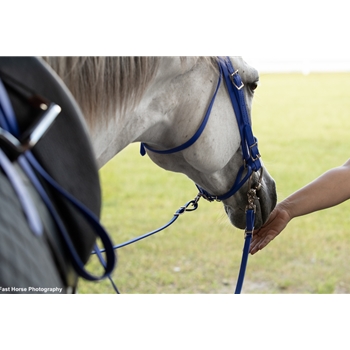 ONE SIZE FITS MOST ENGLISH BRIDLE made from BETA BIOTHANE (Solid Colored)