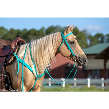 One Size Fits Most WESTERN BRIDLE made from BETA BIOTHANE (Solid Colored)