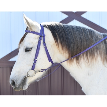Chemise Bit & Bridle Femme - Bleue - Boutonnée - Taille L - Très Bon état
