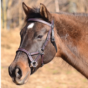 Colored Thread SIDEPULL Bitless Bridle made from BETA BIOTHANE