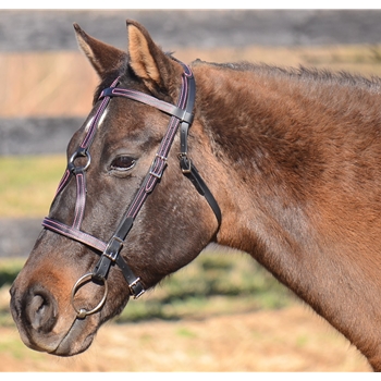 Colored Thread MEDIEVAL BAROQUE WAR or PARADE BRIDLE made from BETA BIOTHANE